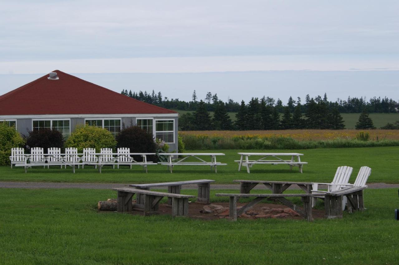 Stanley Bridge Country Resort And Conference Centre Buitenkant foto